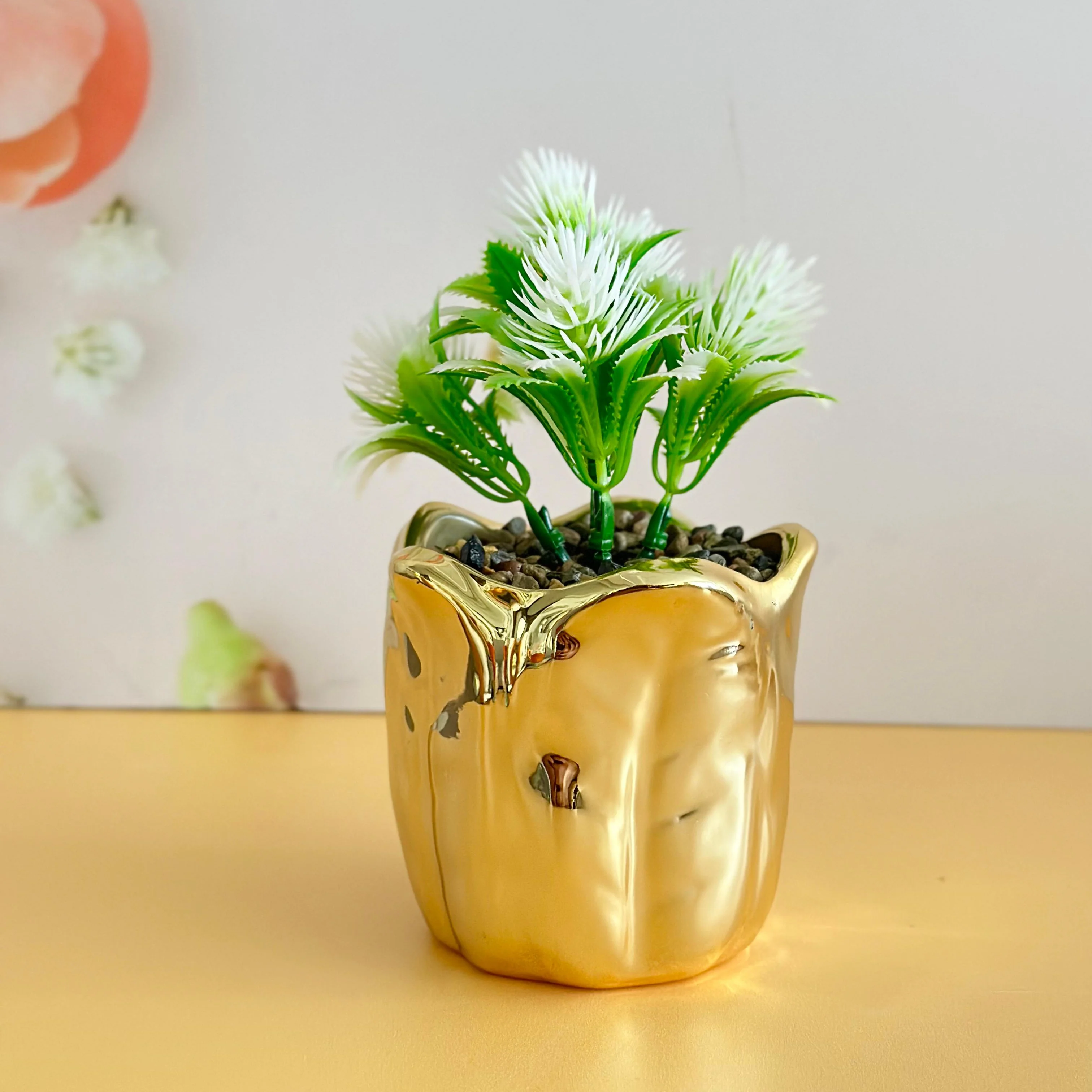 Miniature 5